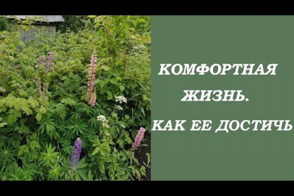 Как восстановить пароль кракен